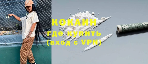 твердый Инсар