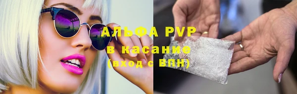 эйфоретик Баксан