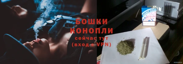 шишки Инта