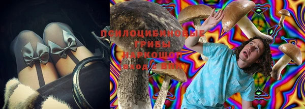 кокс Аркадак