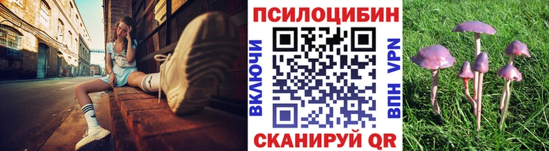 MEGA ТОР  купить  сайты  Новый Уренгой  Псилоцибиновые грибы MAGIC MUSHROOMS 