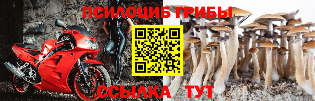 Новый Уренгой  Галлюциногенные грибы прущие грибы  Вход с VPN 