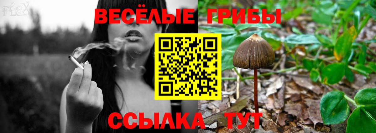 Псилоцибиновые грибы Psilocybine cubensis Новый Уренгой